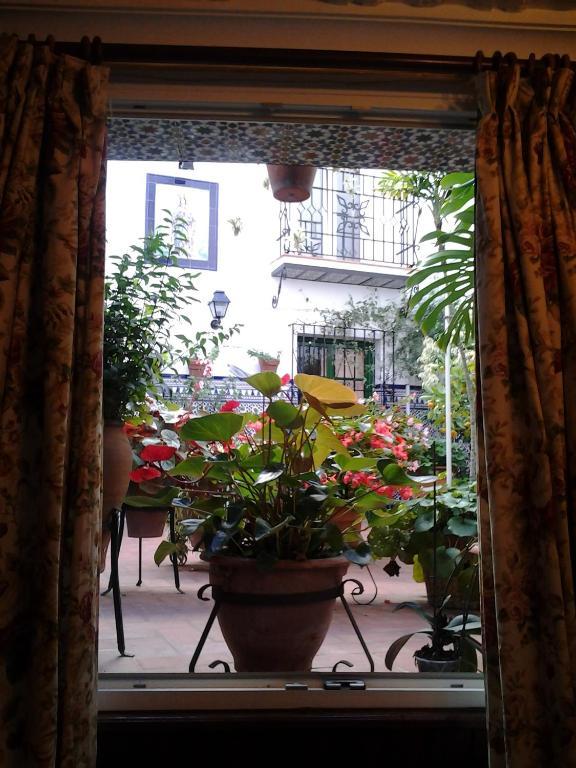 Guest house Enriqueta 2*